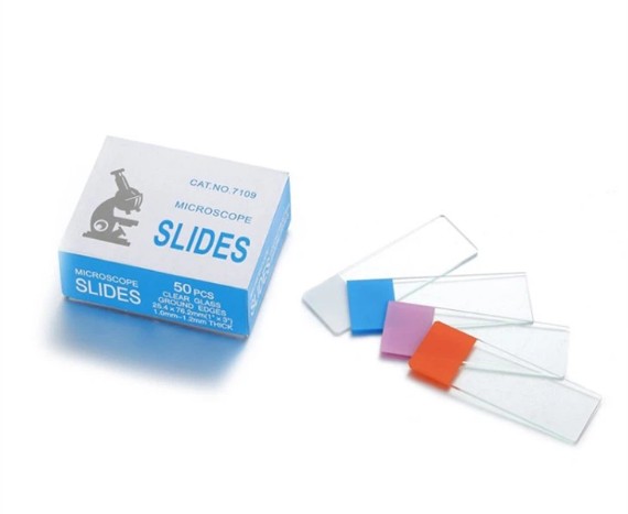 Color Frosted Microscope Slides — 6 Colors Available